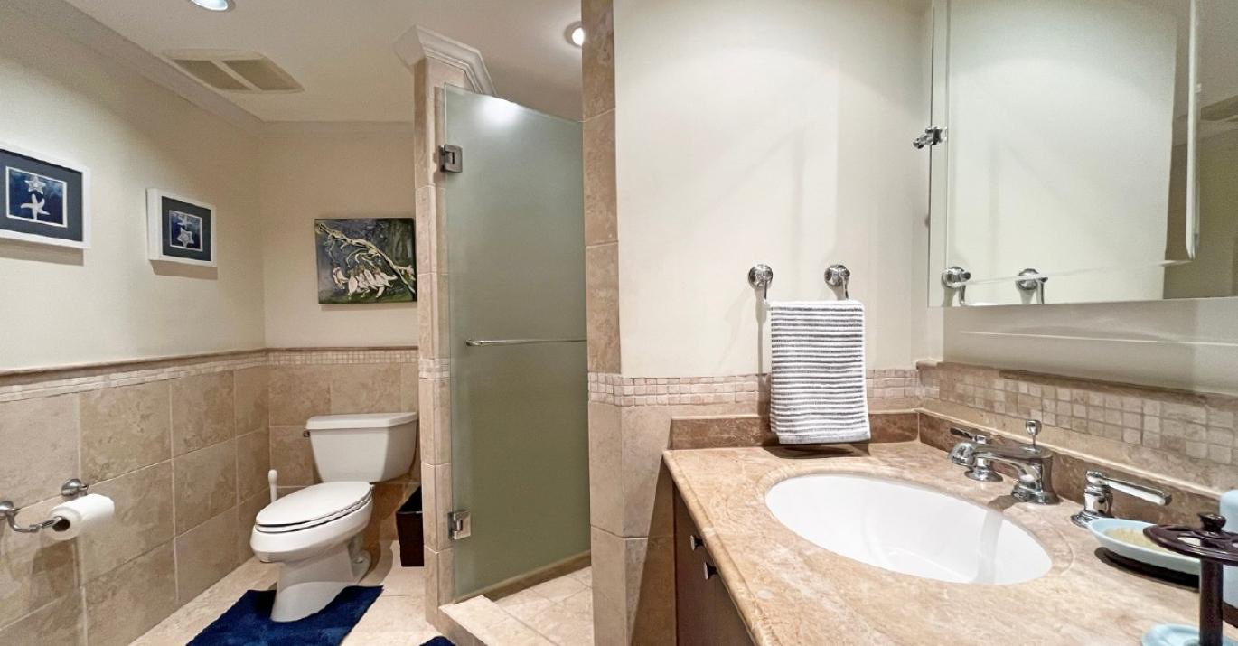 sapphire 207 bathroom blue