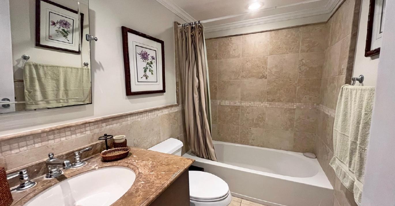 sapphire 207 guest bathroom