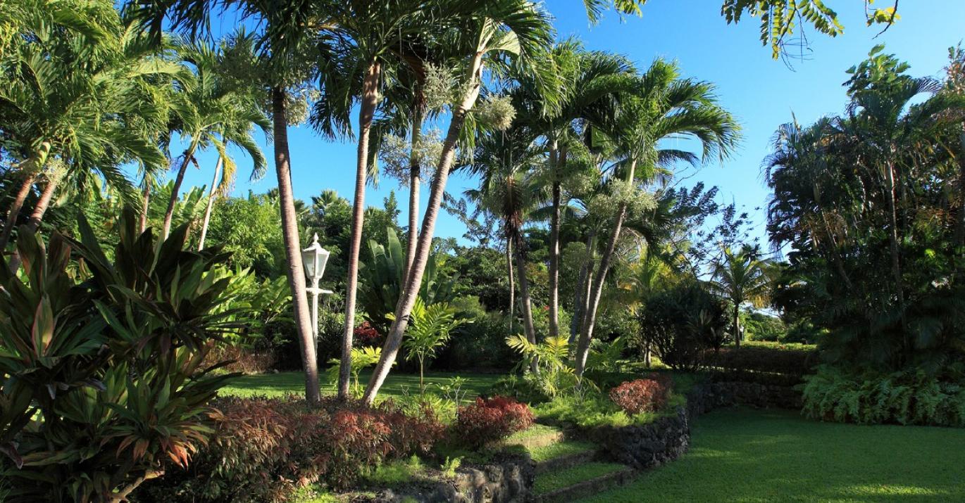vistamar mature gardens