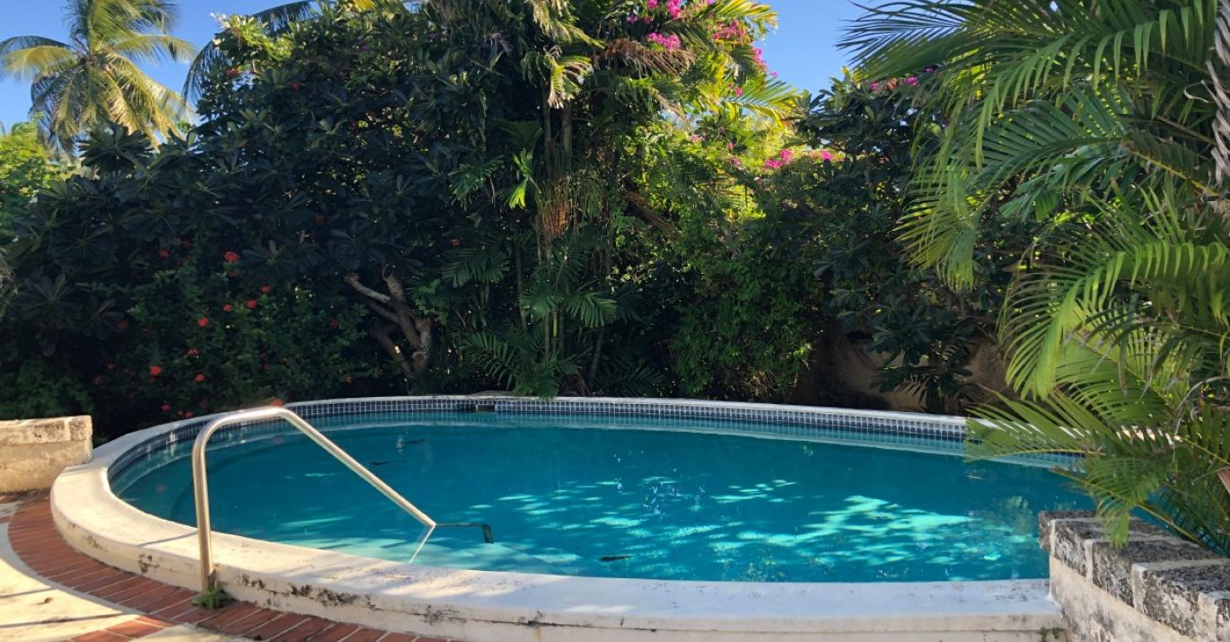williams cottage pool