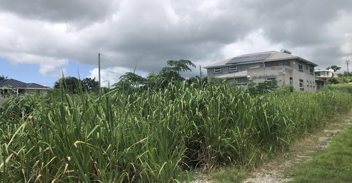 Residential Land at Bagatelle J6 for sale St Thomas Barbados