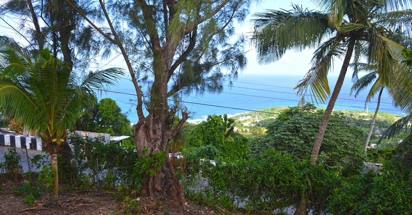 Clifton Hall 43A for Sale elevated homes with sea views St John Barbados