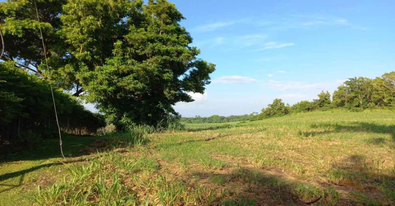 Fisher Pond 1D residential Countryside land for Sale St Thomas Barbados