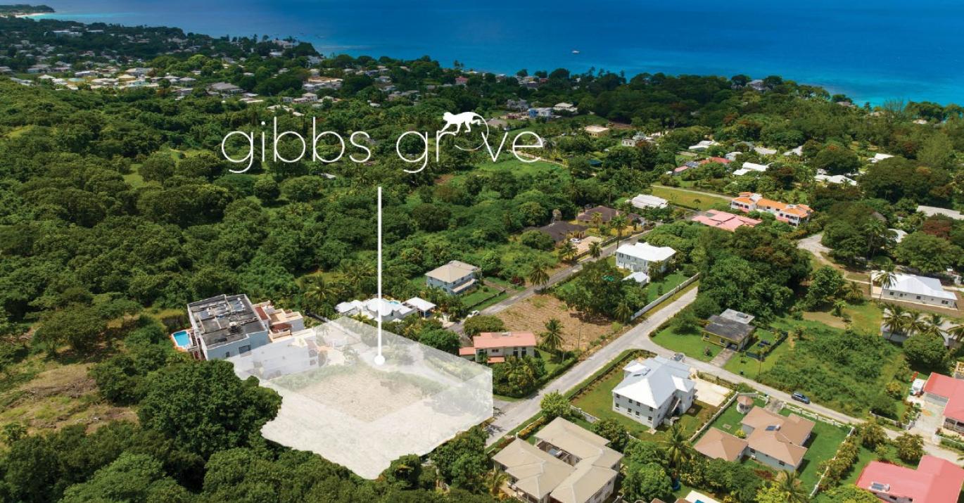 Gibbs Grove Aerial