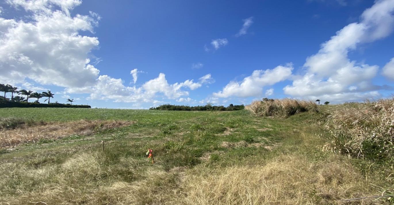 Lancaster 1A C Flat Land West Coast St James Barbados