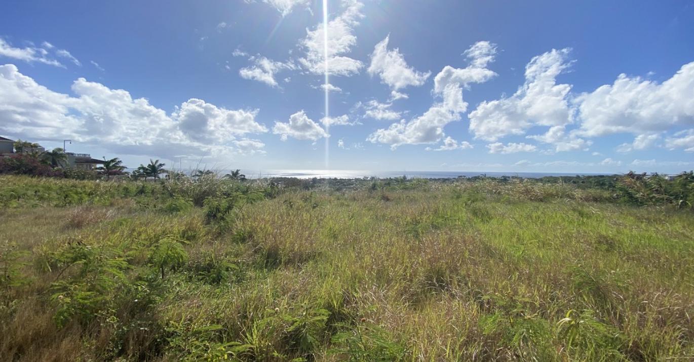 Lancaster 1CB Acre Plot West Coast St James Barbados