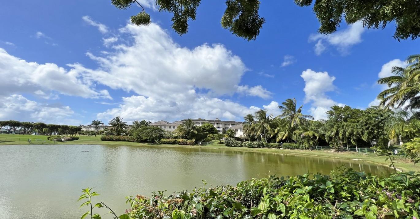 Millennium Lake 47B for Sale Welches Barbados