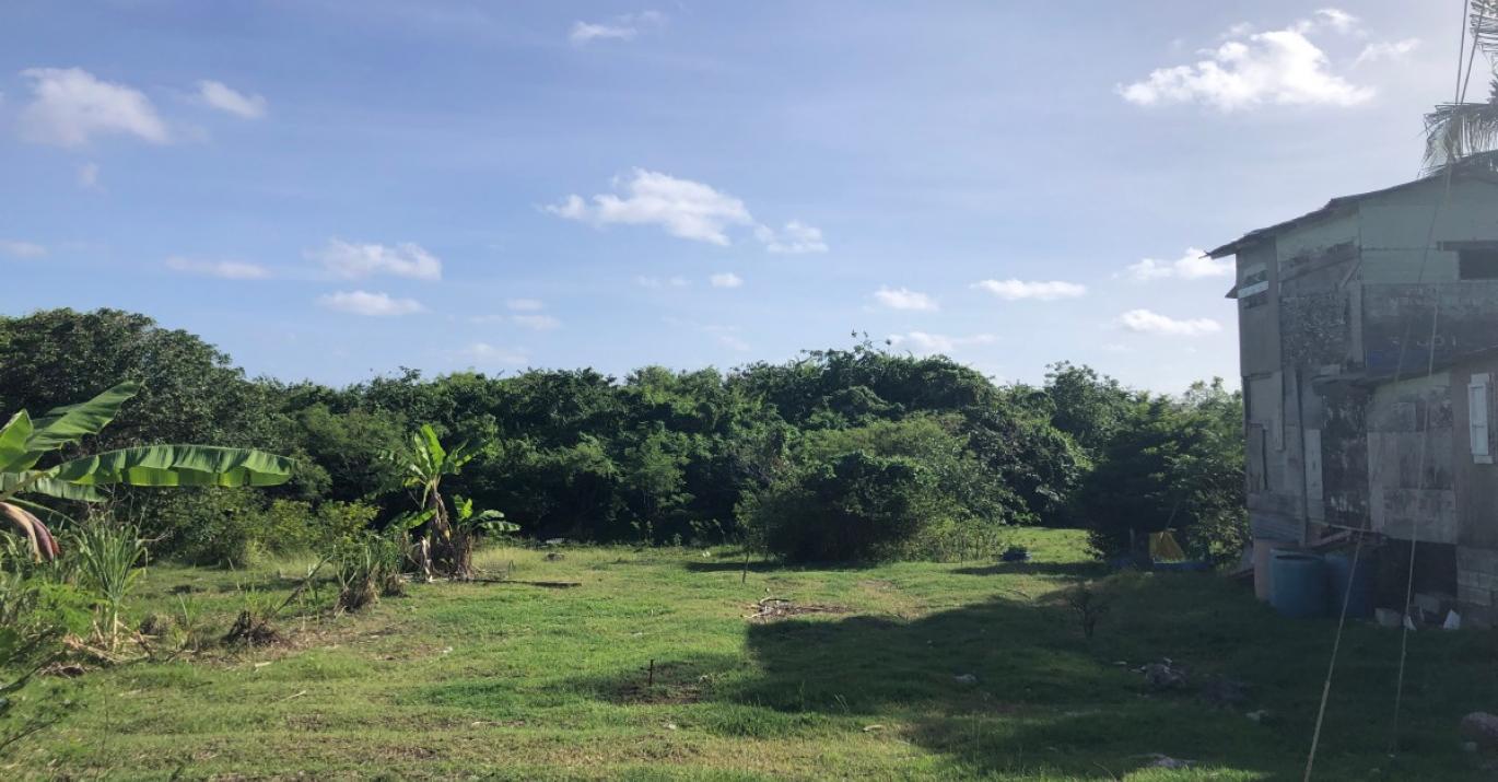 Crane Lots for Sale Pounder Road Saint Philip Barbados
