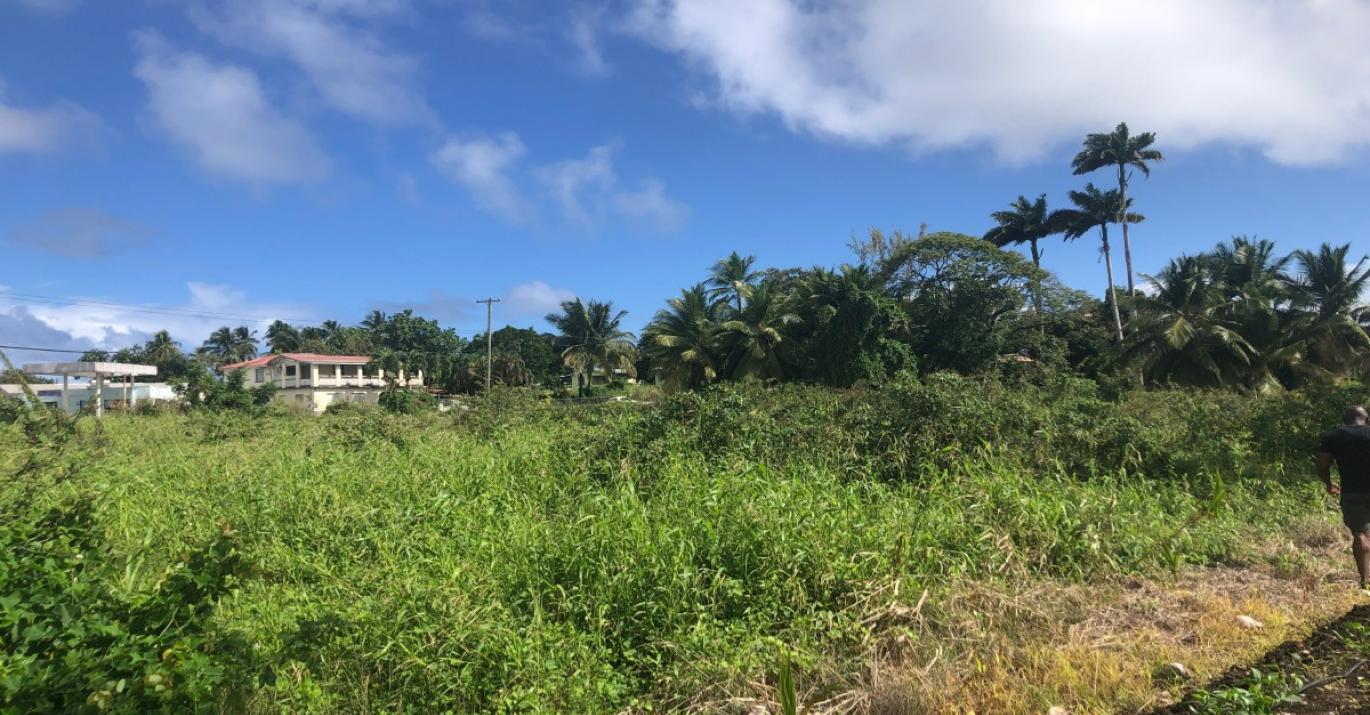Stewart Hill Agricultural Land for Sale St John Barbados