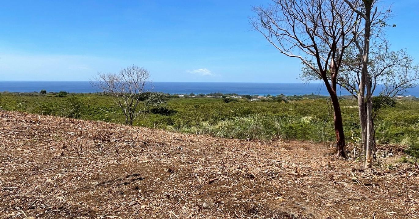 Bakers 2 elevated land for sale sea views uphill from Mullins Beach