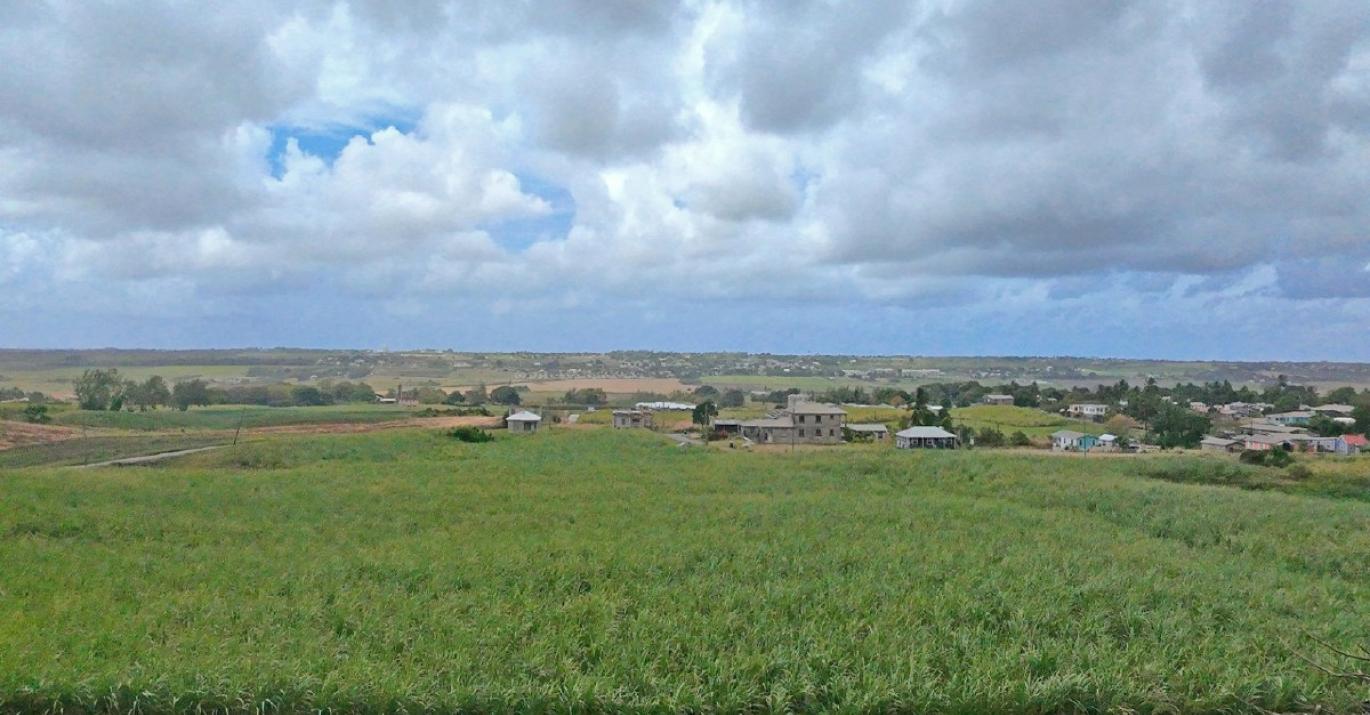 Brighton Close 4 sloped ridgetop residential land for sale Barbados countryside 