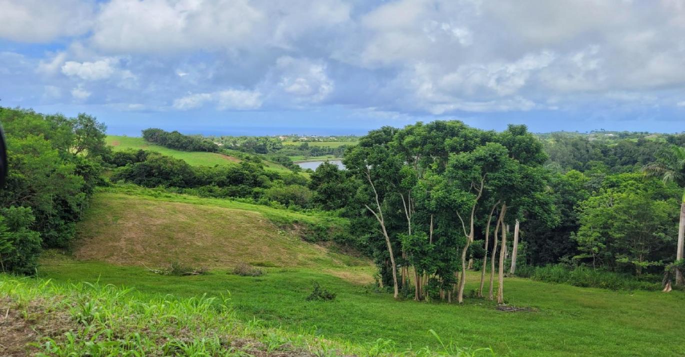 canefield 8 land for sale overlooking dunscombe lake with superb views