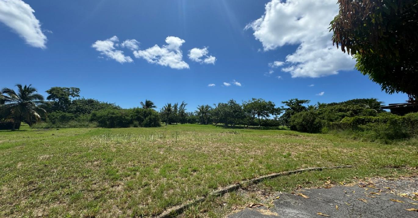 Durants lot 61 land for sale fronting onto golf course on south coast Barbados