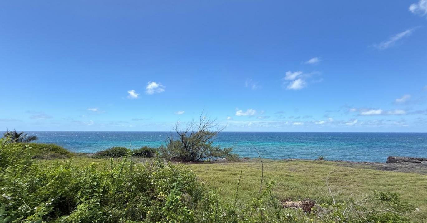Ocean City ridge front land for sale direct sea views southeast coast Barbados