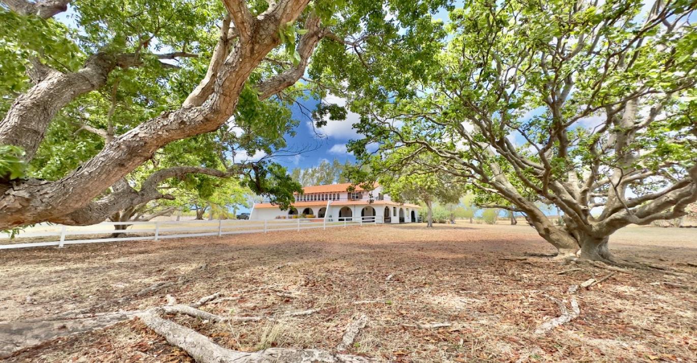 Topaz renovated Spanish residential agricultural estate for sale Congo Barbados
