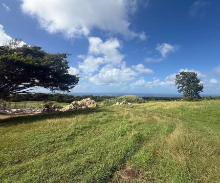 Apes Hill, Holders Meadow H-6