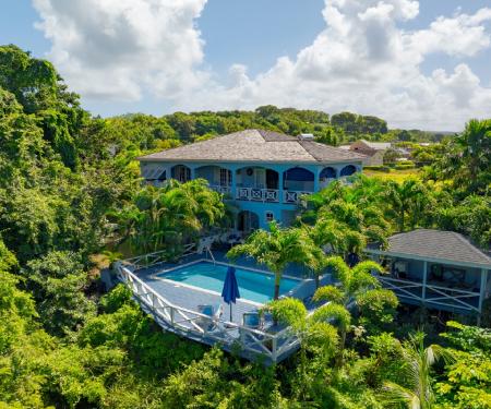 Colleton Gardens, Bajan Blue