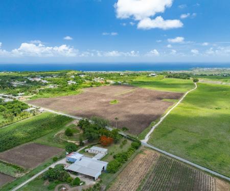 Mount Pleasant Estate