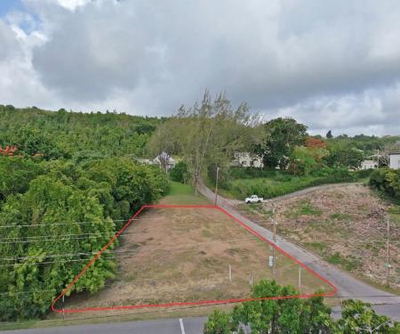 Whitehall Lot 1