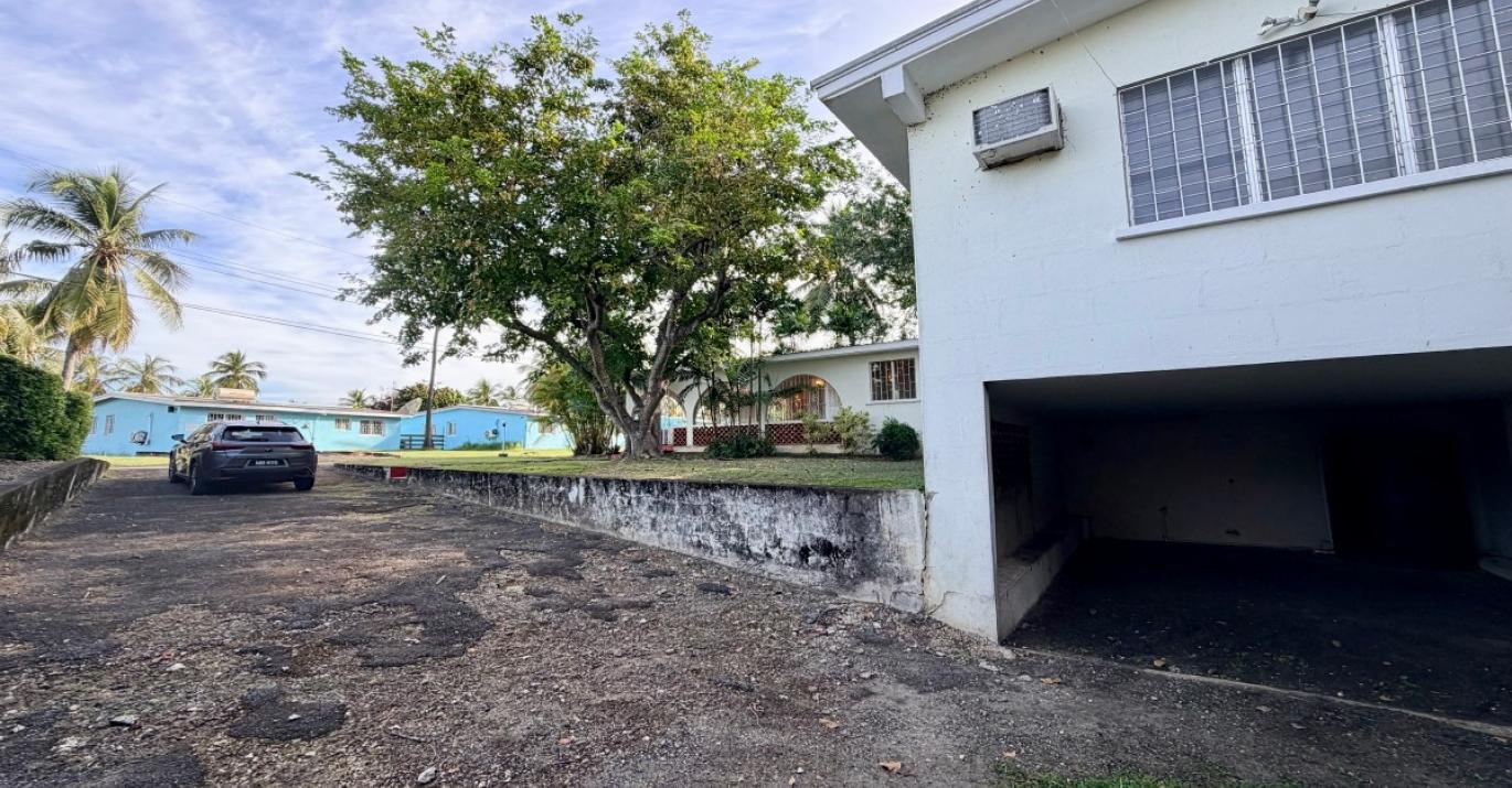 palm Avenue 280 garden & driveway