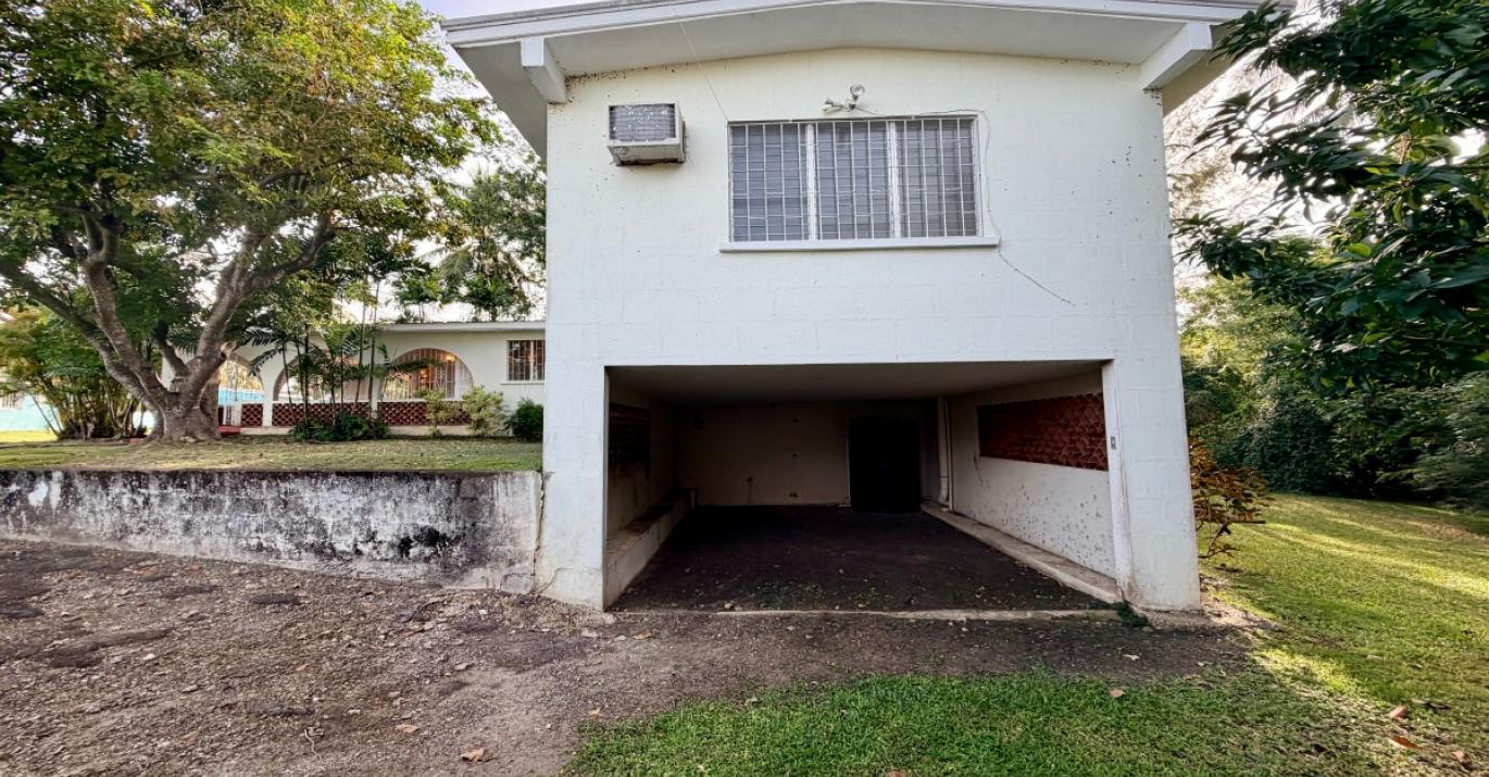 palm Avenue 280 garden 2