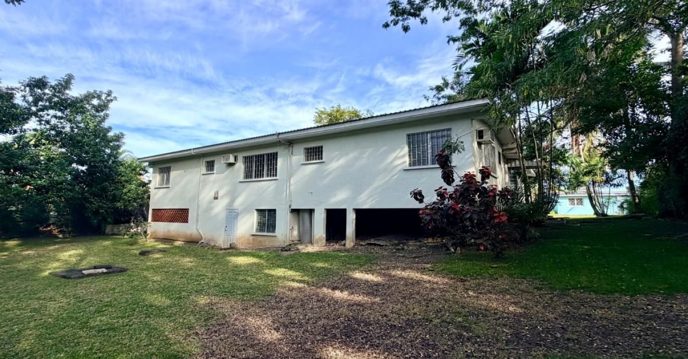 palm Avenue 280 side view