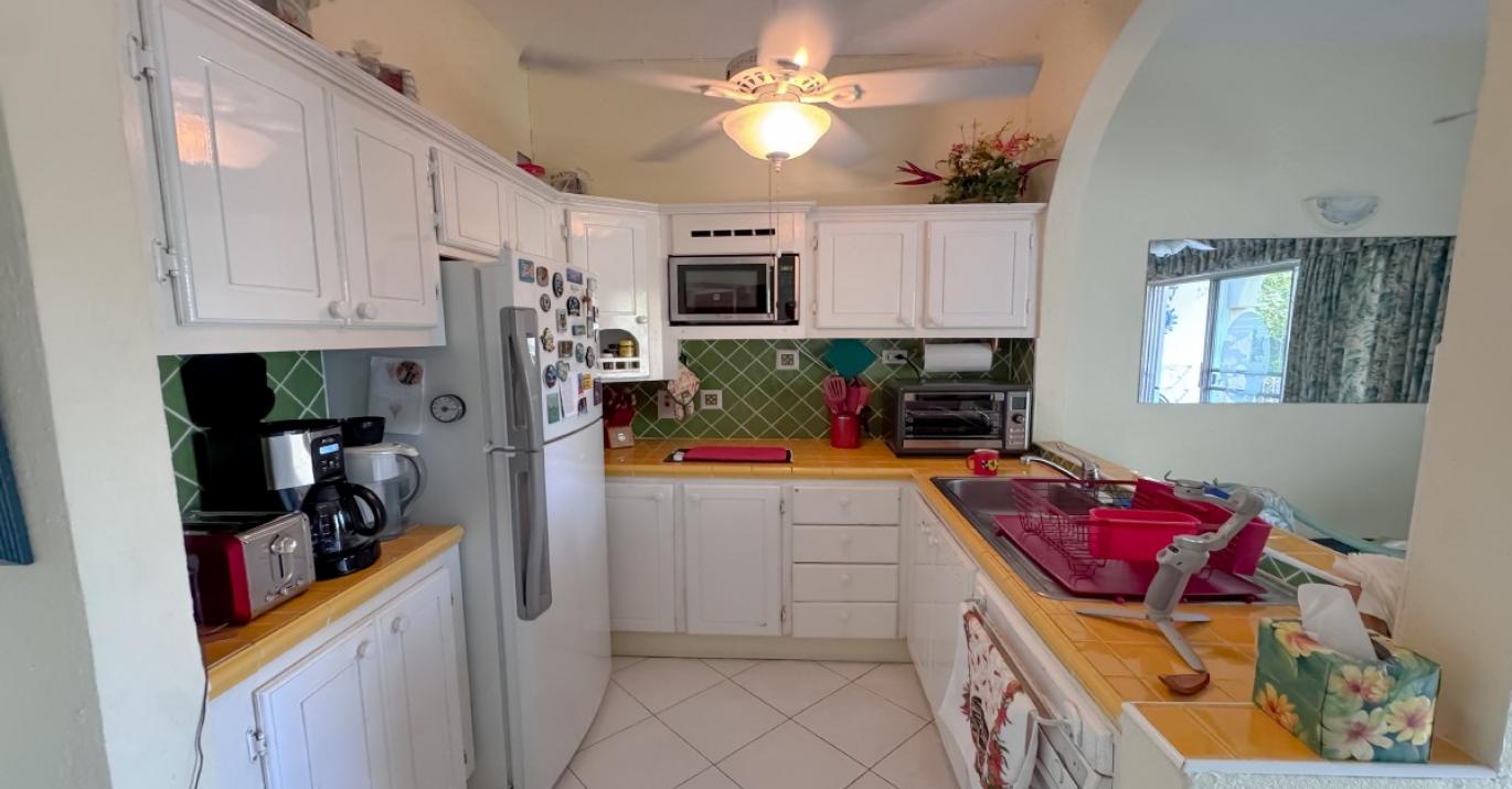 golden view 106 kitchen