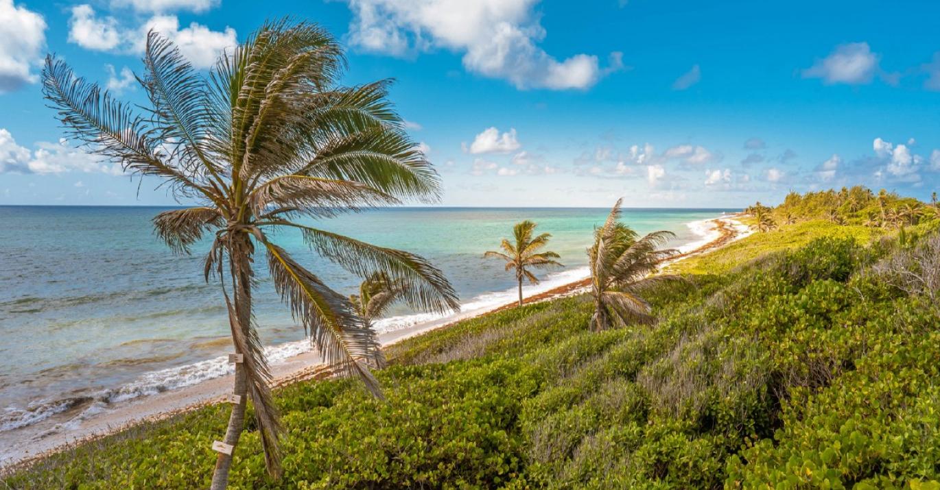 Atlantic Breeze beach