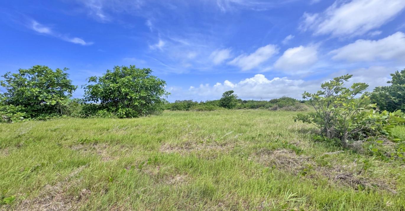 atlantic heights lot 12