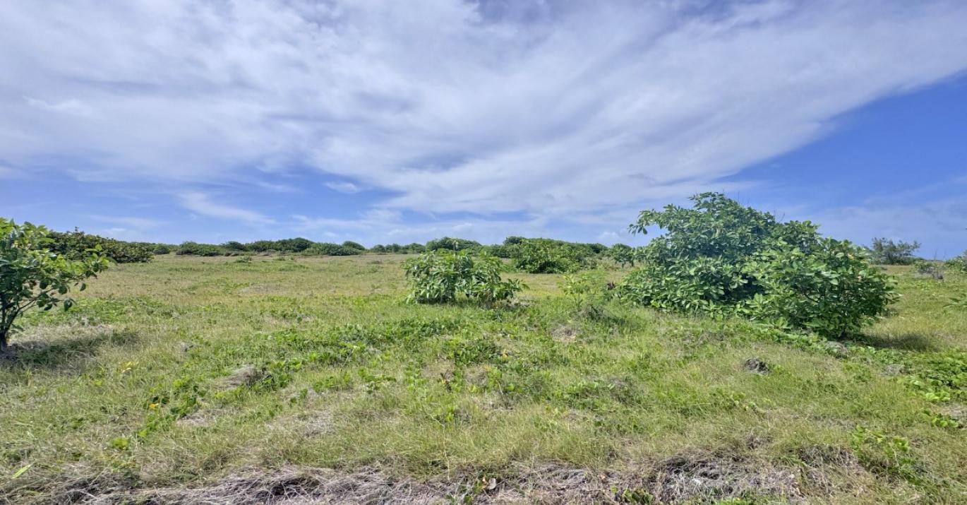 atlantic heights lot 22
