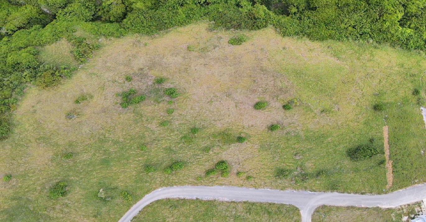 atlantic heights lot 4 overhead