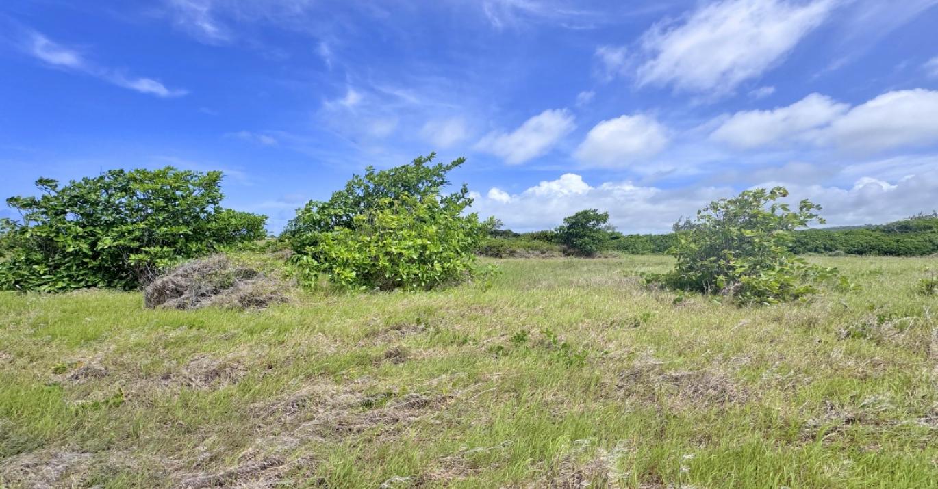 atlantic heights residential lot 7