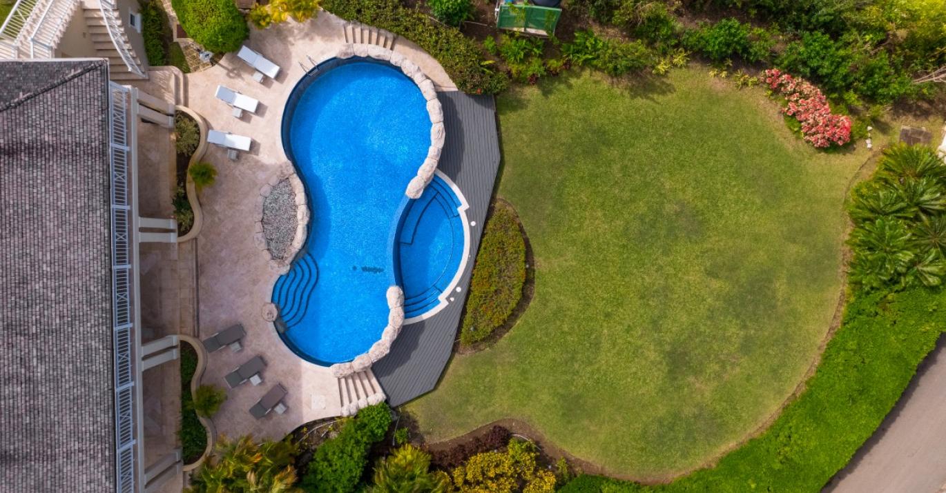 Bananaquit overhead aerial