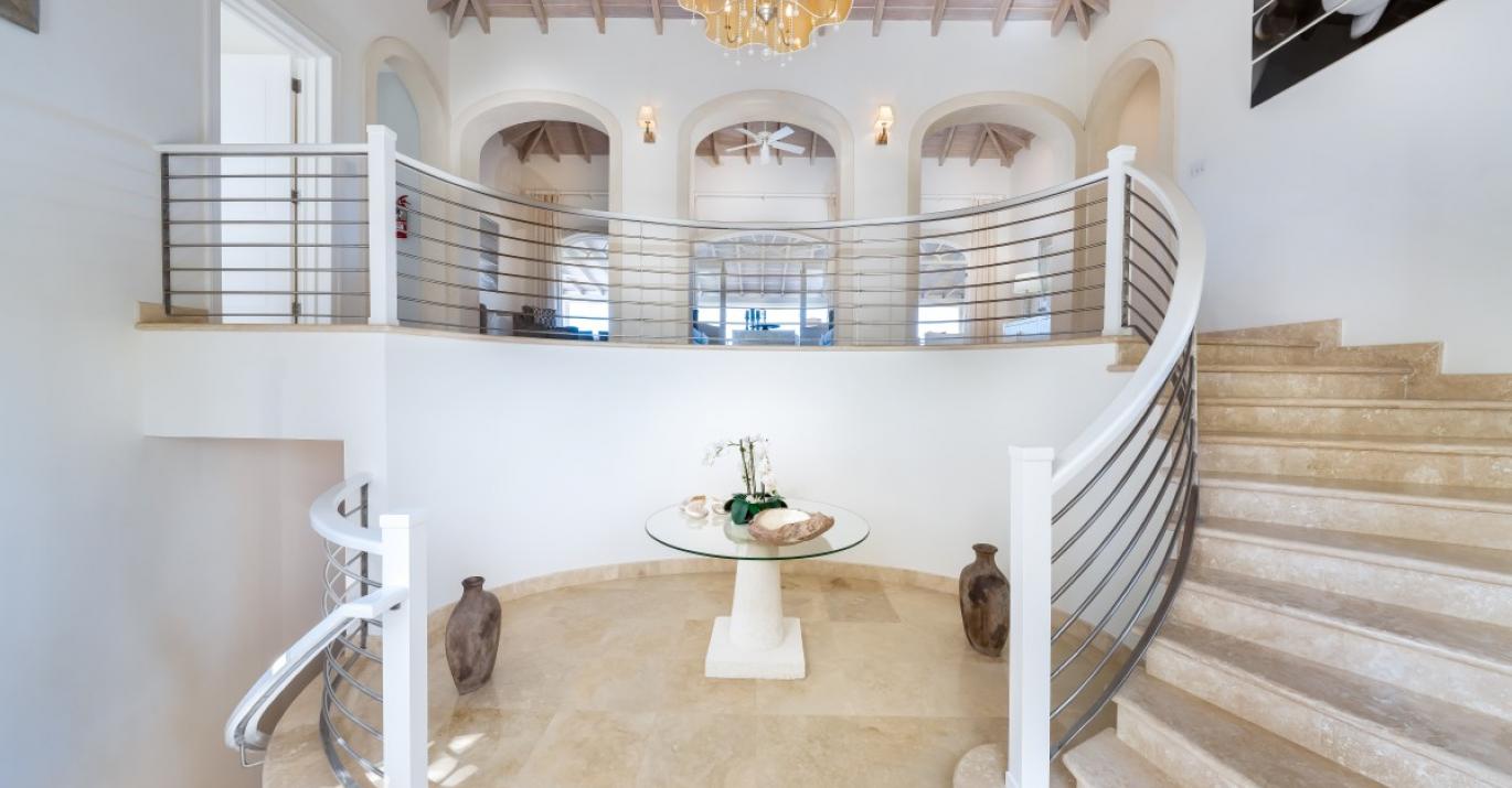 Bananaquit staircase