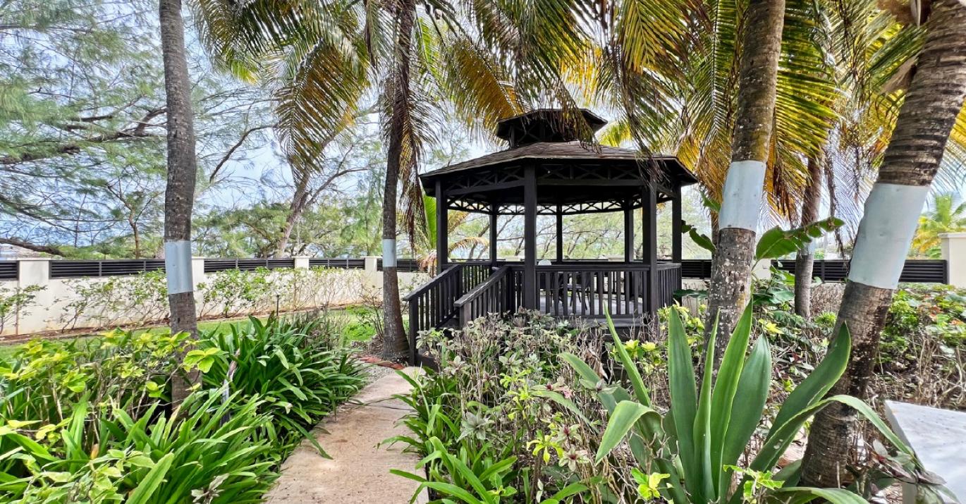 Dawlish dining gazebo