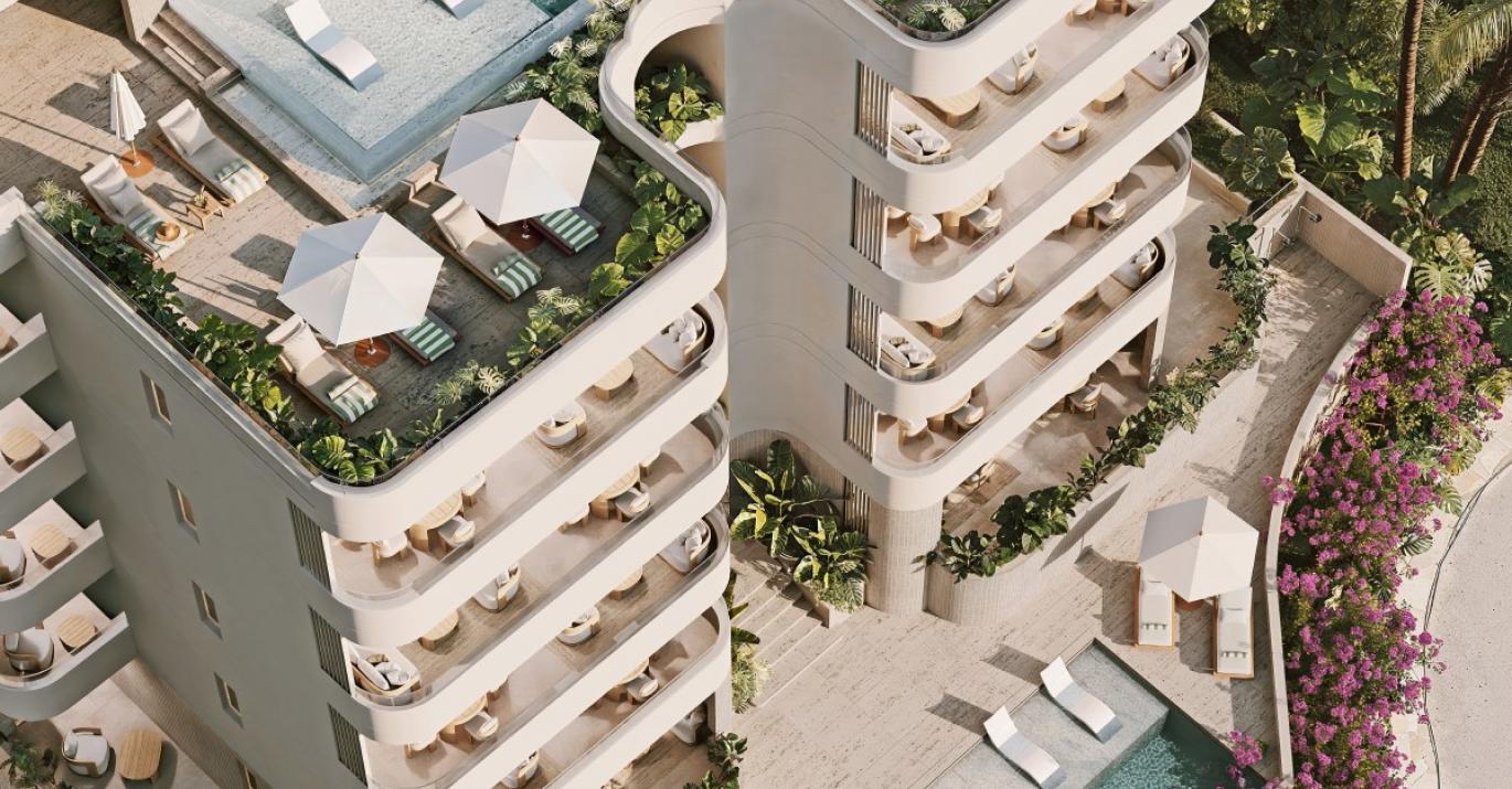 Gibbs Grove bird view 2