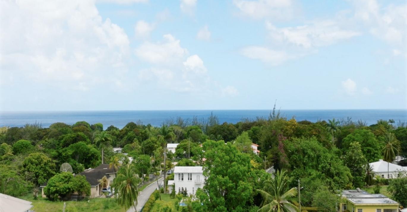 Gibbs Grove platinum view