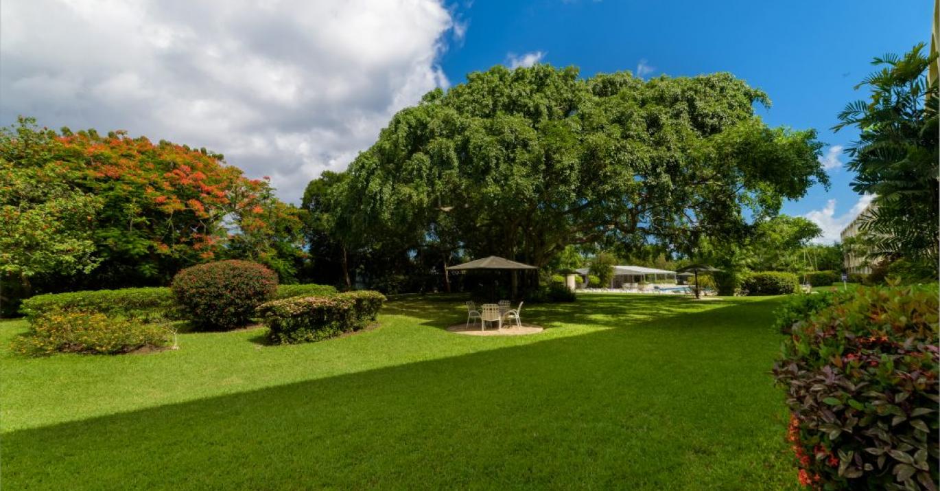 golden view gardens