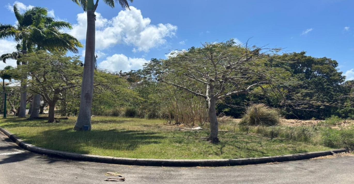 Heron Mill Estate lot 12