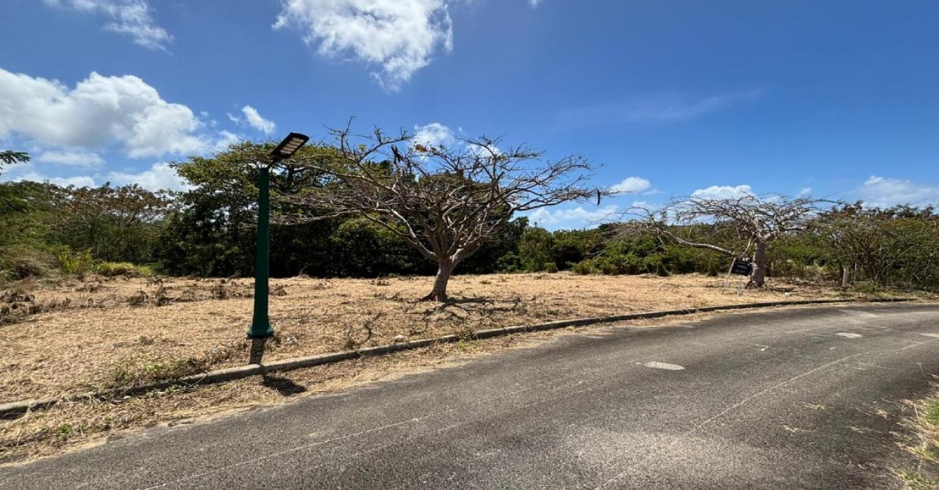 Heron Mill lot 12 for sale