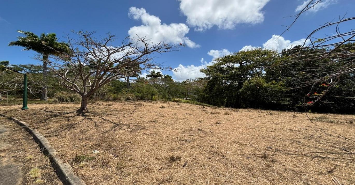 Heron Mill residential land