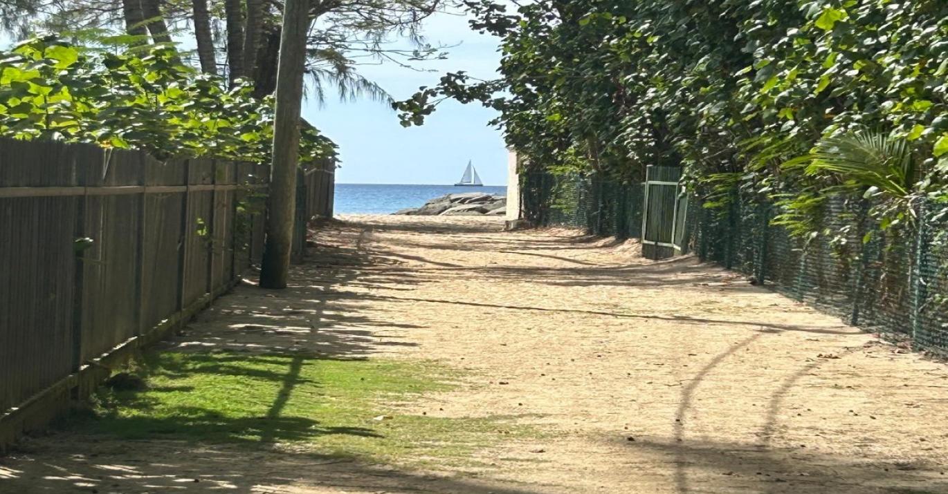 Honeycomb beach path