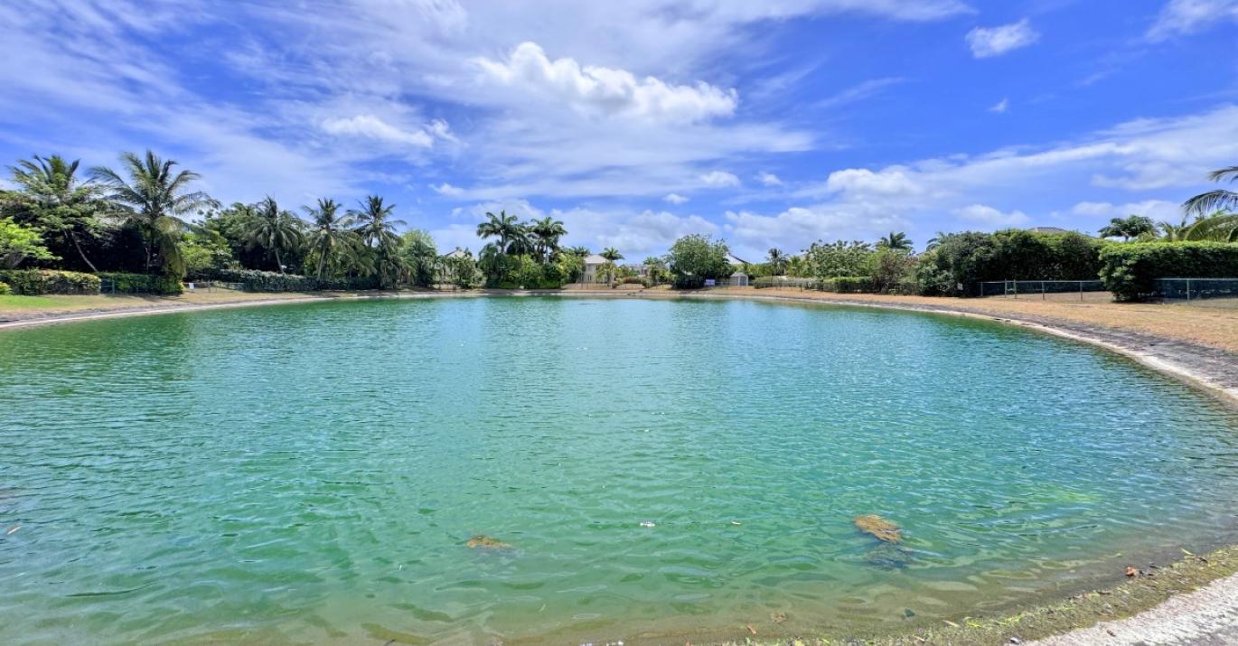 millennium lake