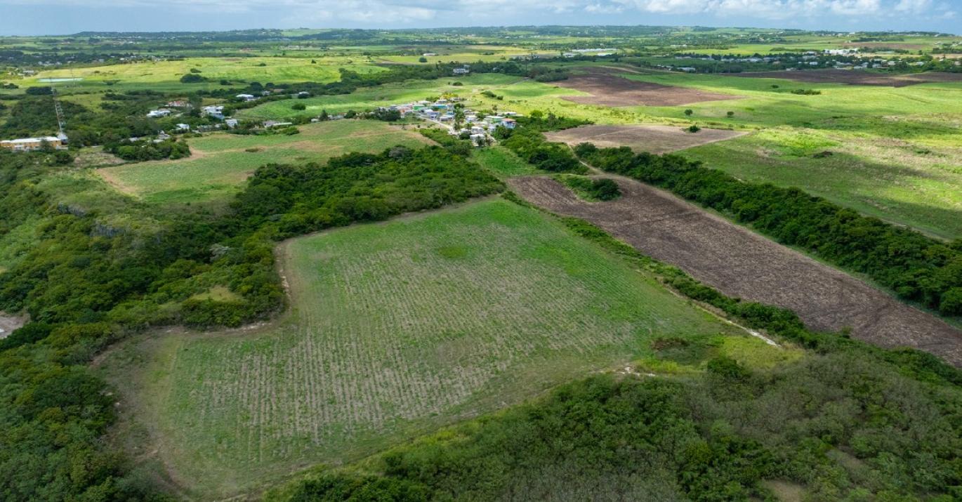 Mount Pleasant Estate south