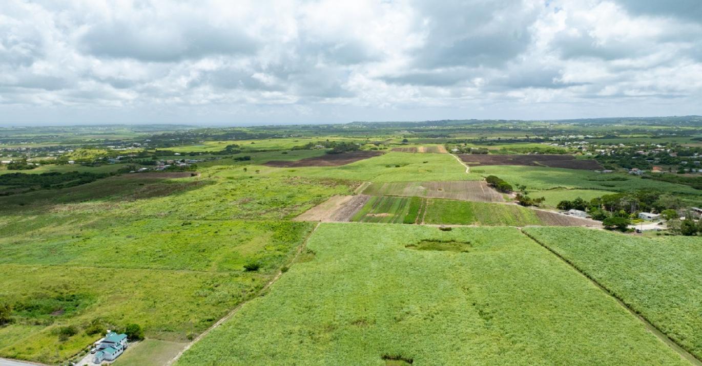 Mount Pleasant northeast