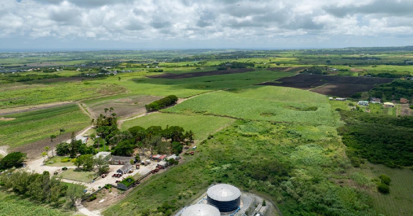 Mount Pleasant northwest