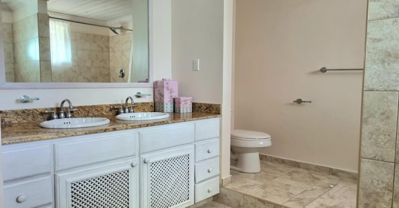 orchard heights master shower