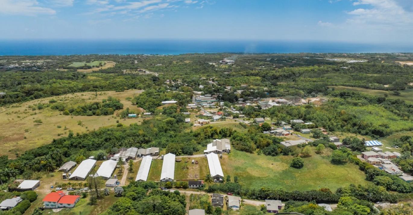 rock hall land north