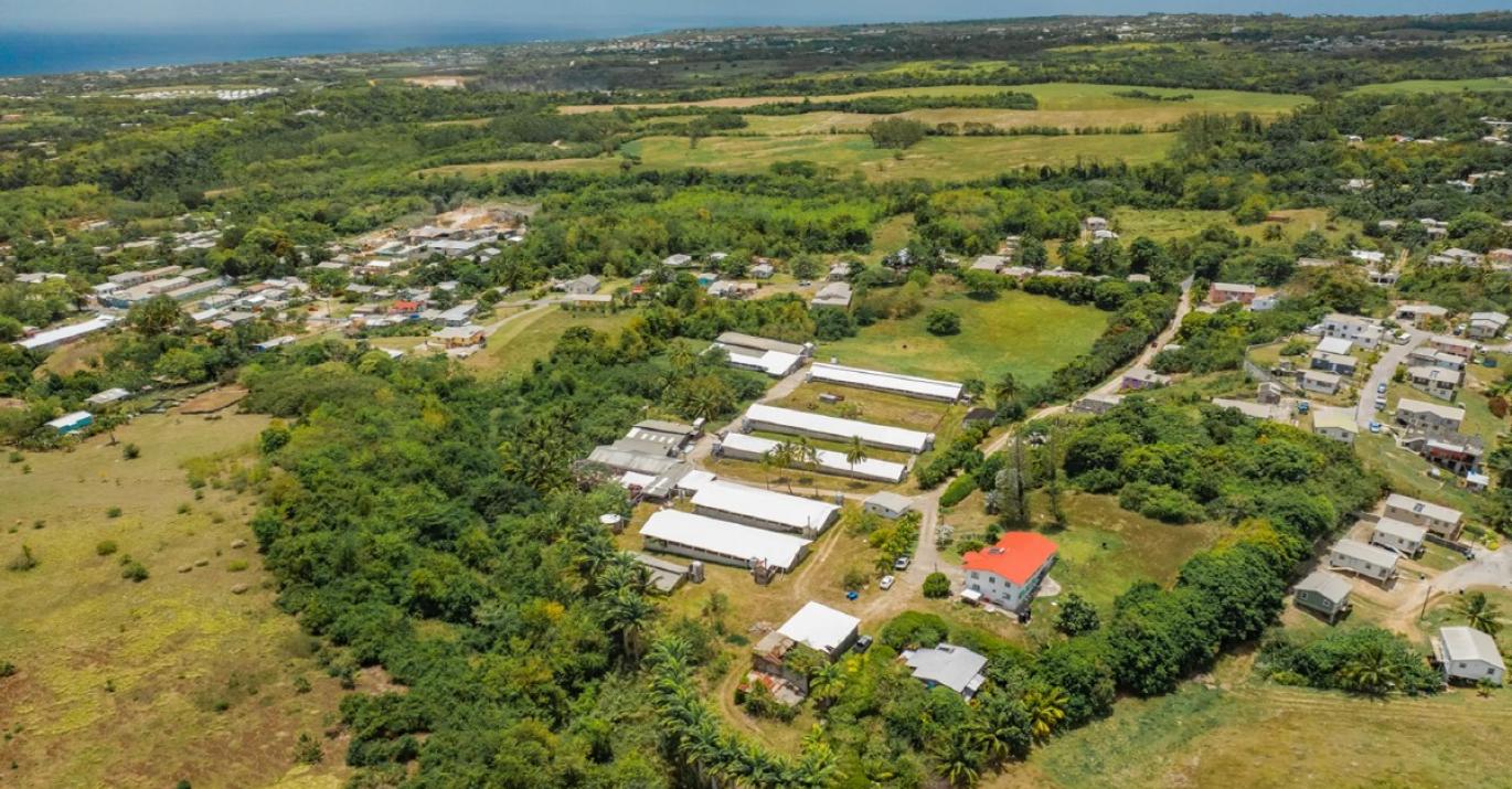 rock hall land northeast