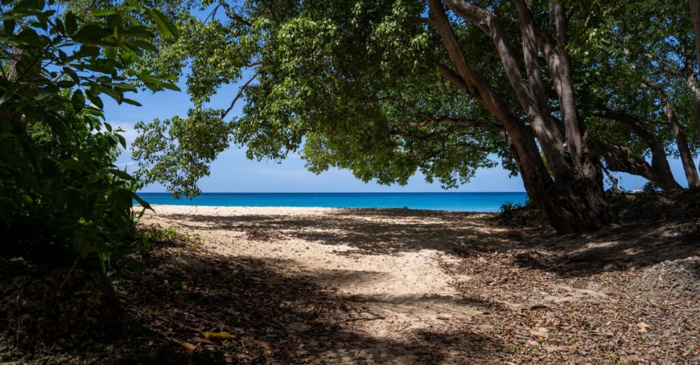 Sorrento 16 nearby beach